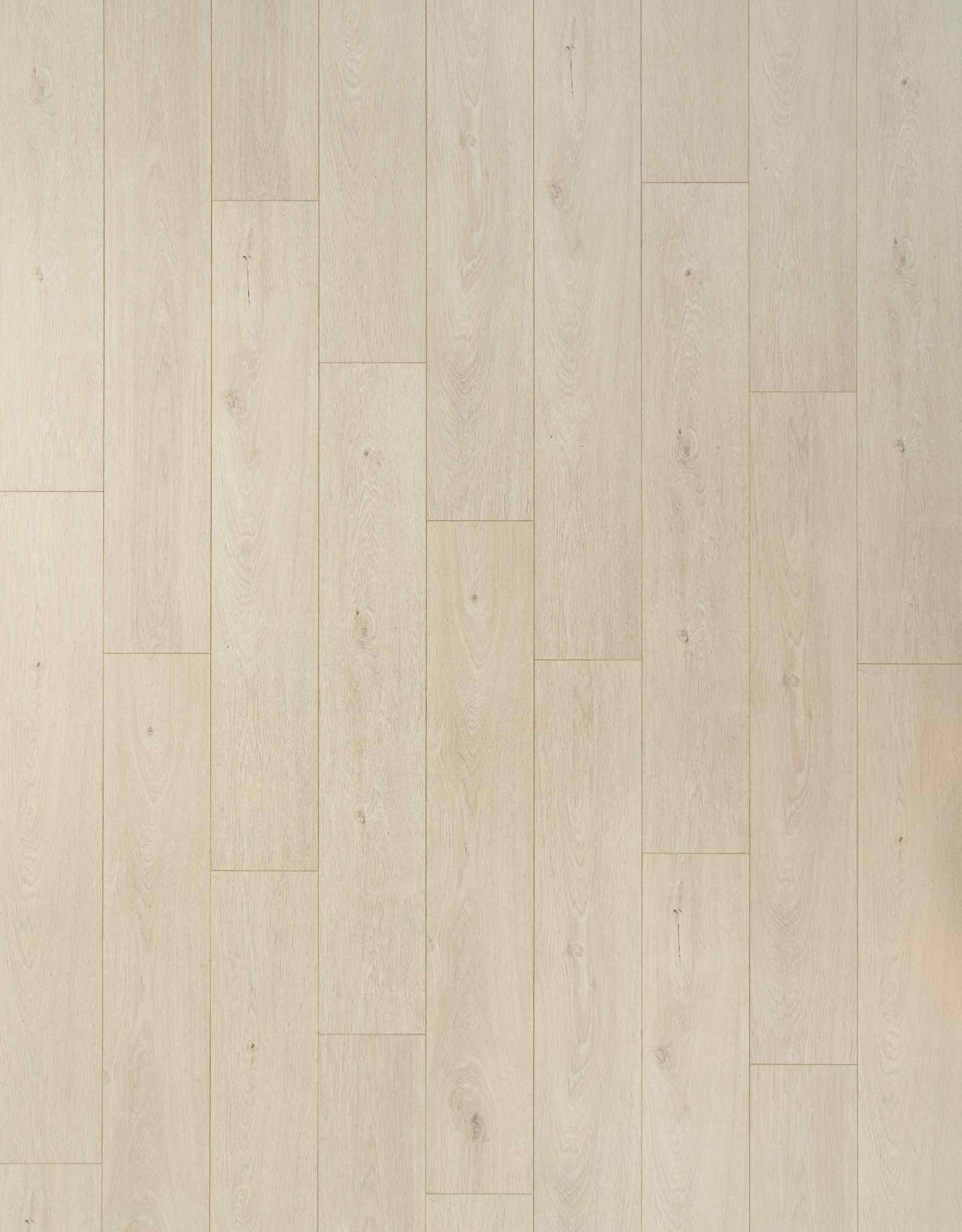 D5085 布蘭卡山脈 Blanca White